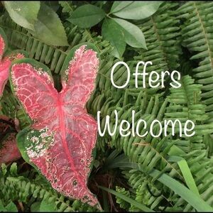 ❤️ I love offers! ❤️